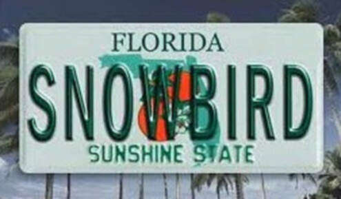 Snow Bird License Plate Florida 